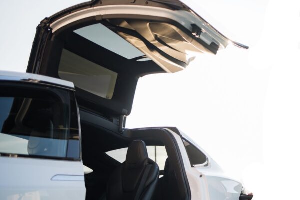 Tesla Model X Door