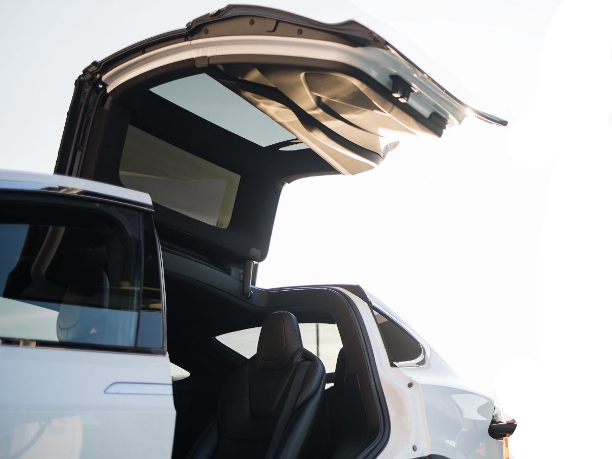 Tesla Model X Door